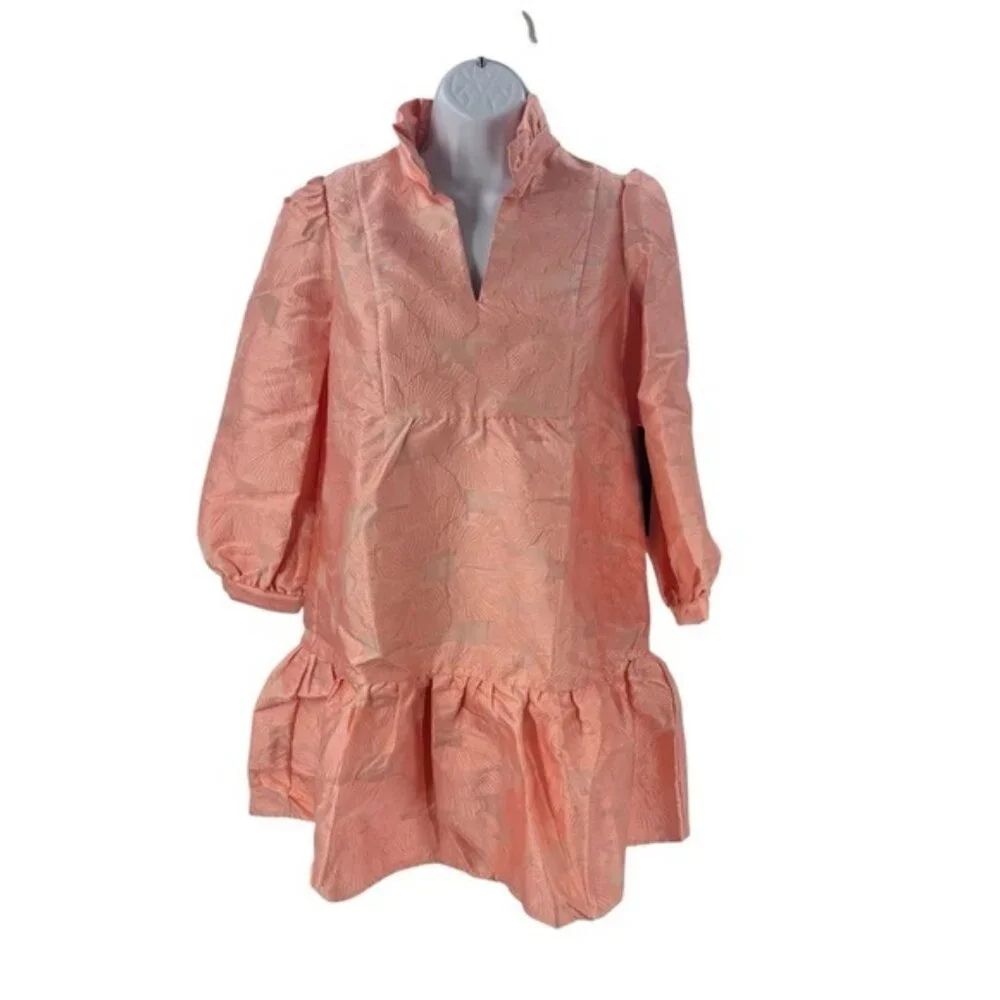 Tuckernuck NEW Bellini Fil Coupe Pink Drop Waist Long Sleeve Palmerston Dress S - Picture 4 of 11